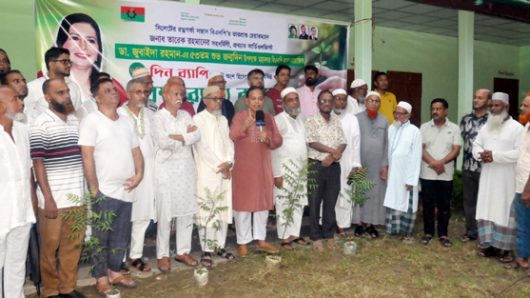 ডা. জোবায়দা রহমান, নির্বিক, শিক্ষিত ও সম্ভাবনাময় এক রাজনৈতিক ব্যক্তিত্ব : ইমদাদ চৌধুরী