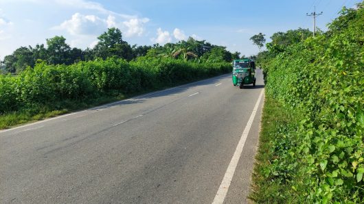সিলেট-জকিগঞ্জ আঞ্চলিকসড়ক: ফুটপাত বনজঙ্গলে পরিণত, নজর নেই সড়ক বিভাগের