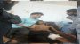 সিলেটে বৈষম্যবিরোধী ছাত্র আন্দোলনের নেতাকে ছুরিকাঘাত