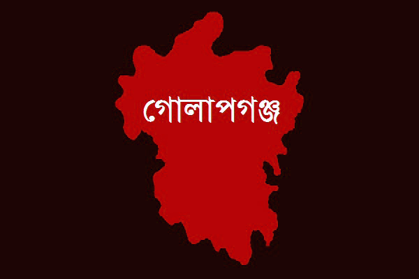 গোলাপগঞ্জে রাজনৈতিক হামলার ঘটনায় পালিয়ে প্রাণে বাঁচলেন ফারেহা জান্নাত