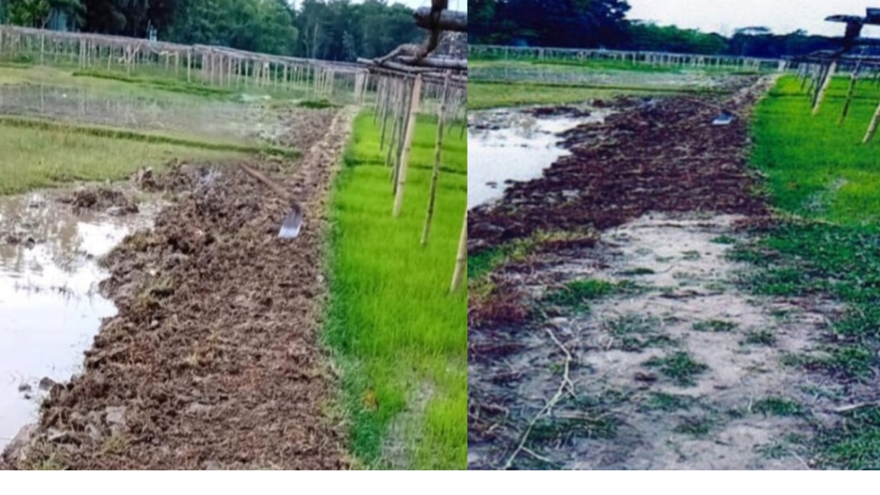 গোলাপগঞ্জে জোরপূর্বক ২০টি পরিবারের একমাত্র রাস্তা কেটে ফেলার অভিযোগ