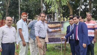 গোলাপগঞ্জে পূবালী ব্যাংক পিএলসি’র উদ্যোগে বৃক্ষরোপন কর্মসূচি পালন