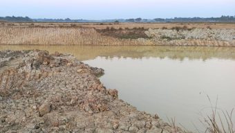 গোলাপগঞ্জের ভাদেশ্বরে প্রবাসীর ক্ষেতের জমি থেকে মাটি কেটে নেওয়ার অভিযোগ