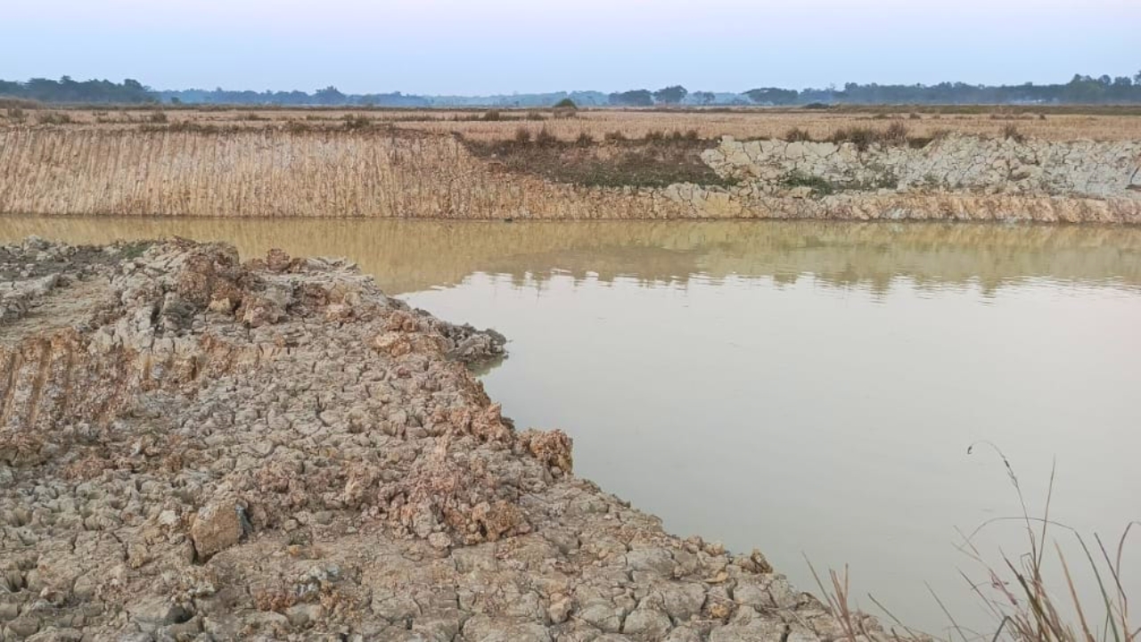 গোলাপগঞ্জের ভাদেশ্বরে প্রবাসীর ক্ষেতের জমি থেকে মাটি কেটে নেওয়ার অভিযোগ