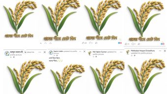 সিলেটে ফেসবুকজুড়ে ‘ধানের শীষের’ জোয়ার