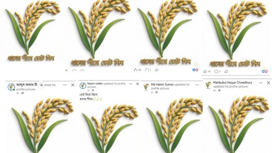 সিলেটে ফেসবুকজুড়ে ‘ধানের শীষের’ জোয়ার