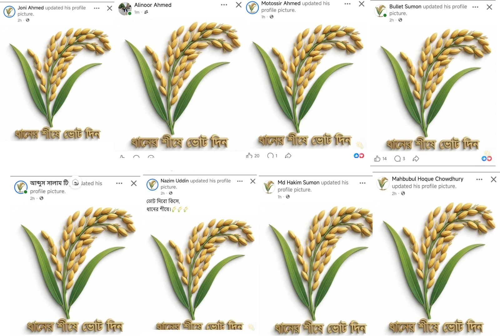 সিলেটে ফেসবুকজুড়ে ‘ধানের শীষের’ জোয়ার