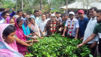 হিলুয়াছড়া ডিভিশনে ২০২৬ সালের ‘পাতা চয়ন’ উৎসবের শুভ উদ্বোধন