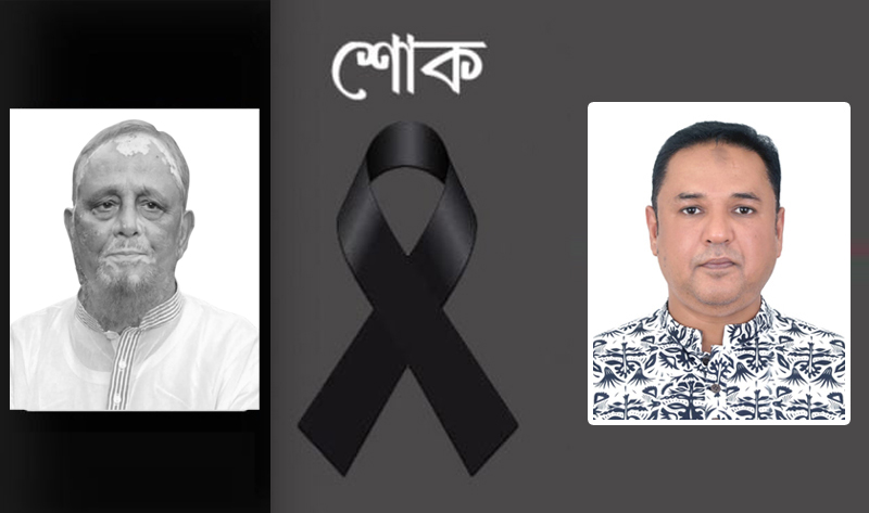 অধ্যাপক সৈয়দ মকসুদ আলীর ইন্তেকালে আব্দুর রহমান রিপনের শোক