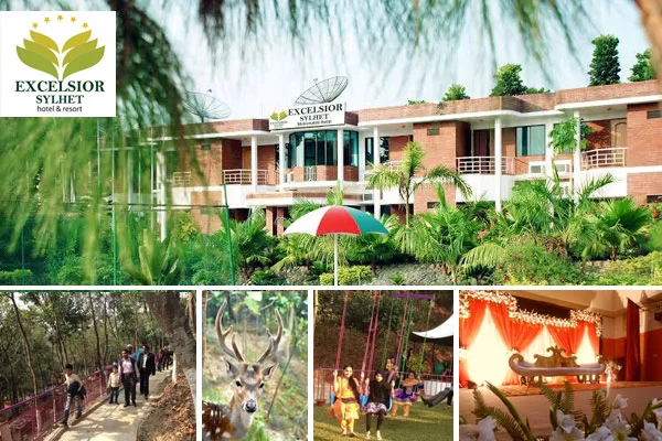 প্রবাসীদের শতকোটি টাকার স্বপ্নের ‘জাকারিয়া সিটি’ দখল করে চলছে মাদক, জুয়া ও অনৈতিক কর্মকাণ্ড
